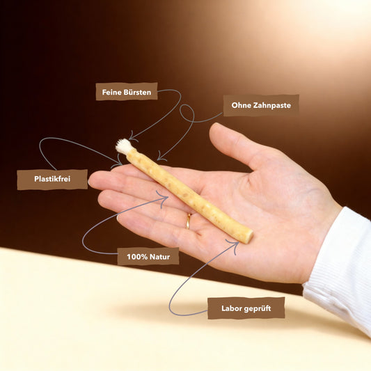 Miswak 2 Monatsvorrat  (4Stk)