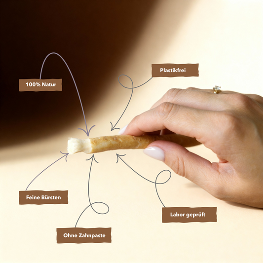 Miswak 1 Monatsvorrat (2Stk)