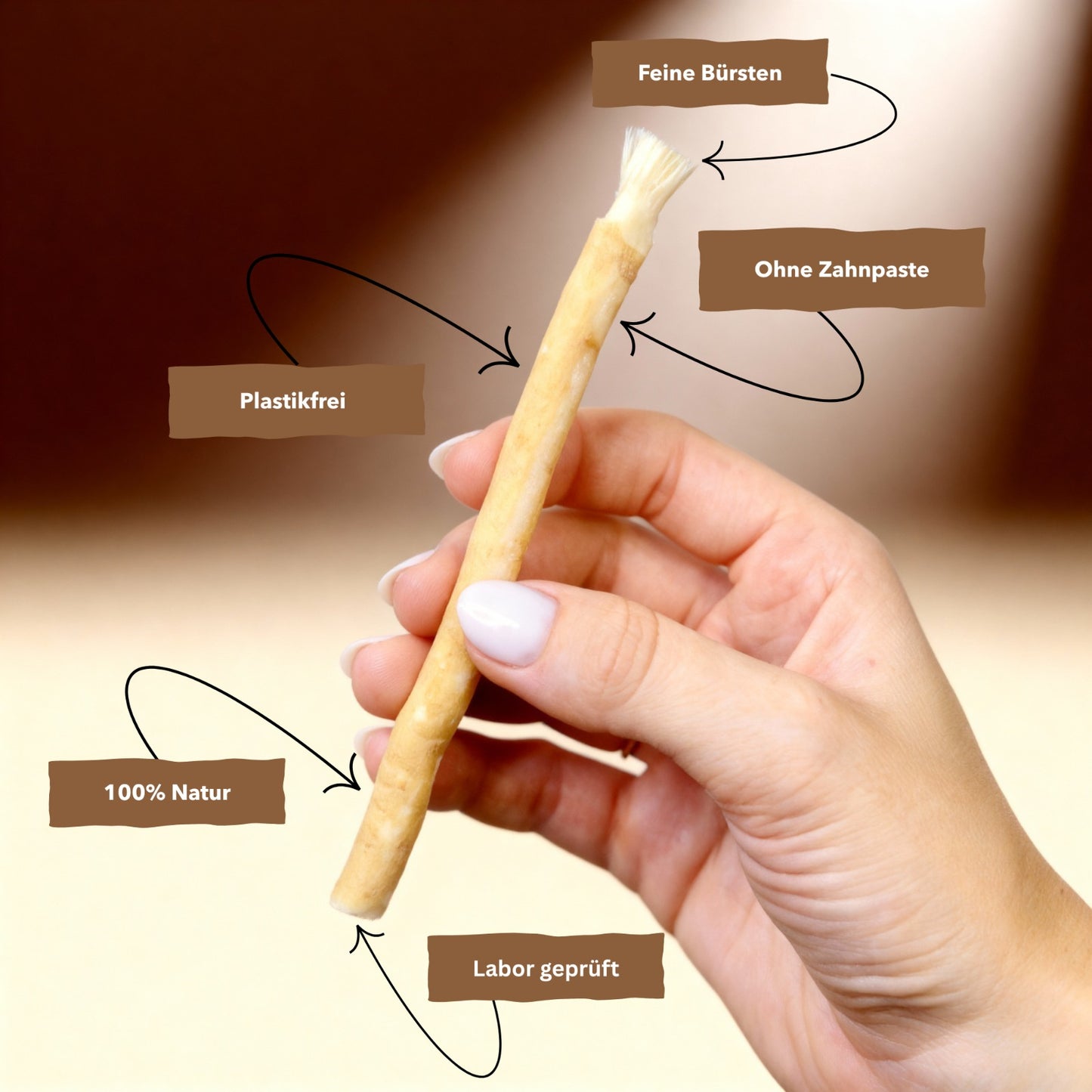 Miswak 6 Monatsvorrat (10Stk)
