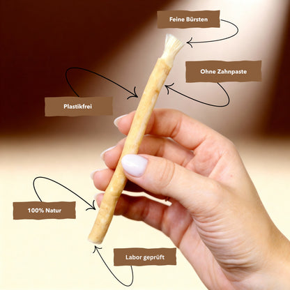 Miswak 6 Monatsvorrat (10Stk)